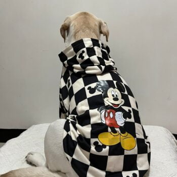 Vêtements Grands Chiens Damier Mickey | 2025