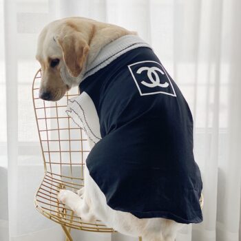 Vêtements Grands Chiens Chanel | 2025