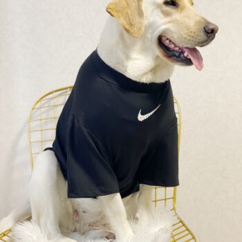 Vêtements pour grands chiens Nike | 2025