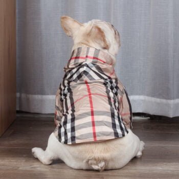 Sweat à capuche pour chien Burberry - 2025 - Vêtement et accessoires pour chiens - Doglovedesign