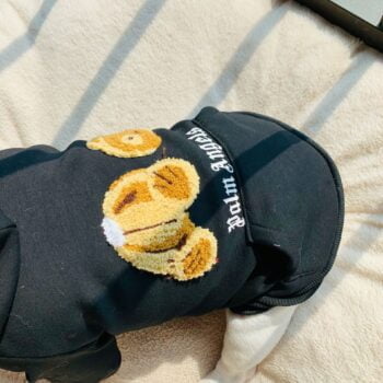 Sweat à capuche pour chien Palm Angels - 2025 - Doglovedesign : Vêtement et accessoires pour chiens Sweat à capuche pour chien Palm Angels - 2025 - Doglovedesign : Vêtement et accessoires pour chiens