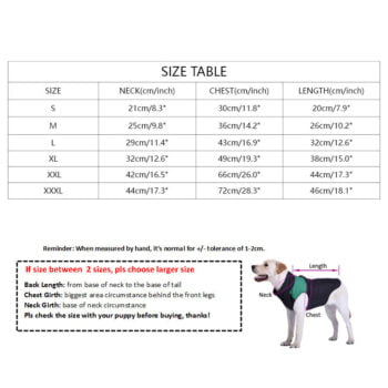 Robe Fendi pour Chiens - Sophistication et Style Canin - 2025 - Vêtement et accessoires pour chiens - Doglovedesign