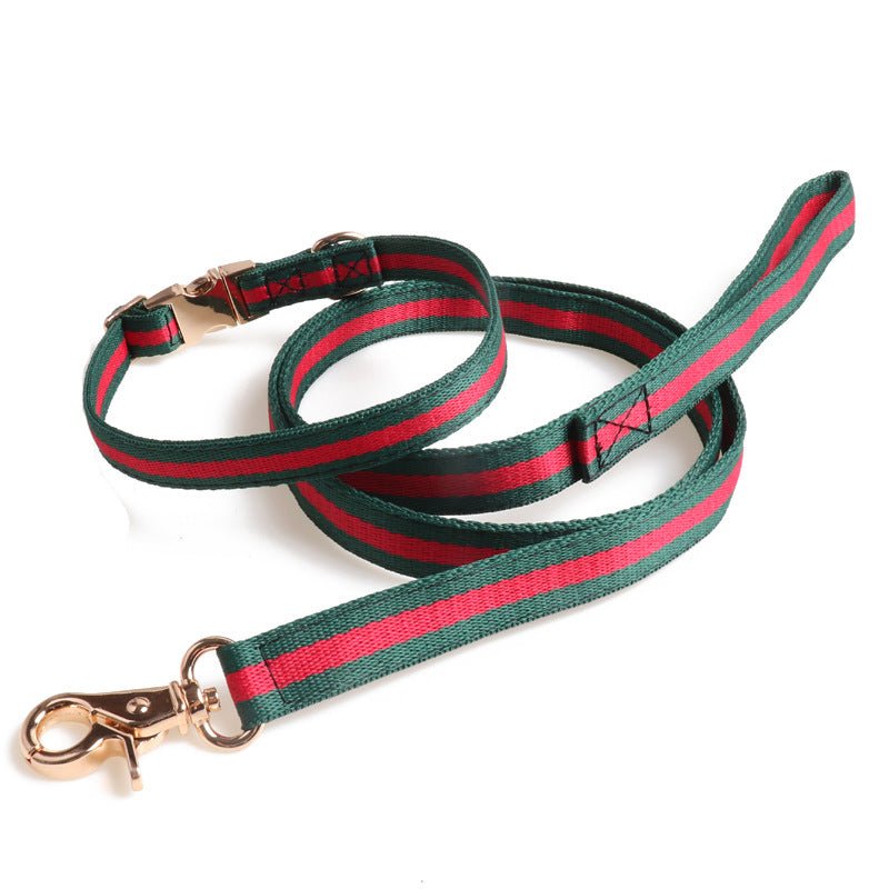 Collier et harnais pour chien Gucci | 2024