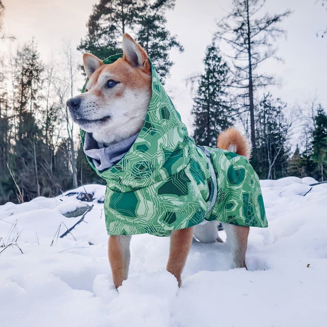 Sweat à capuche pour chien | 2024