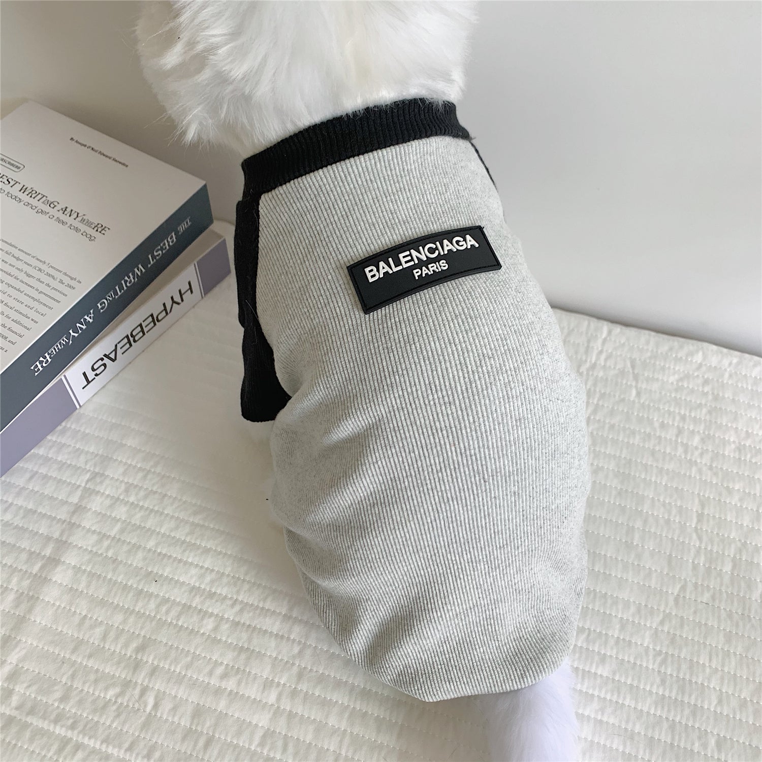 T-shirt pour chien Balenciaga | 2024