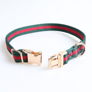 Collier et harnais pour chien Gucci | 2024