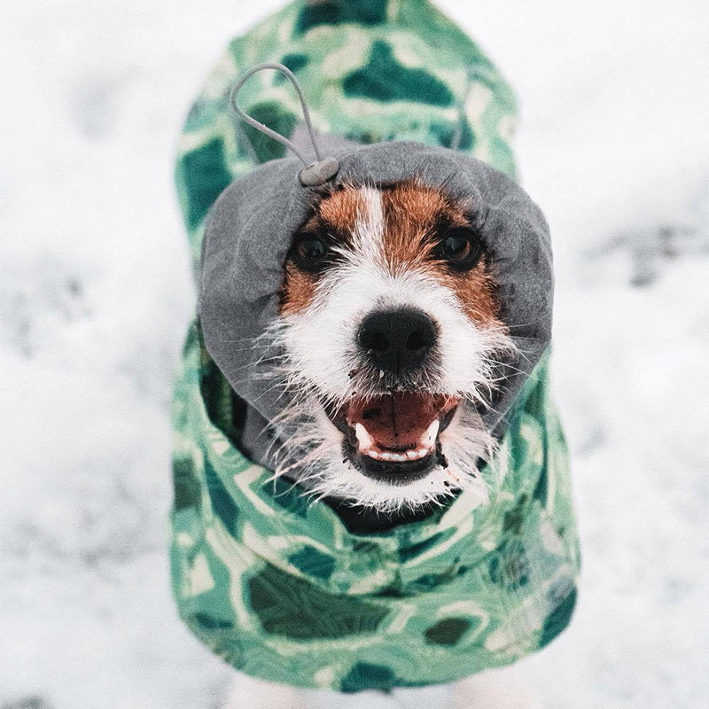 Sweat à capuche pour chien | 2024