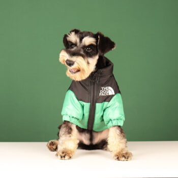 Veste pour chien The North Face | 2024