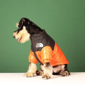 Veste pour chien The North Face | 2024