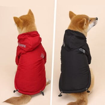 Sweat à capuche pour chien The North Face | 2024