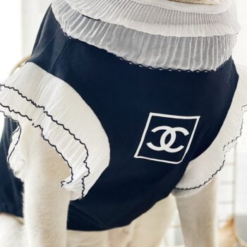 Vêtements Grands Chiens Chanel | 2025