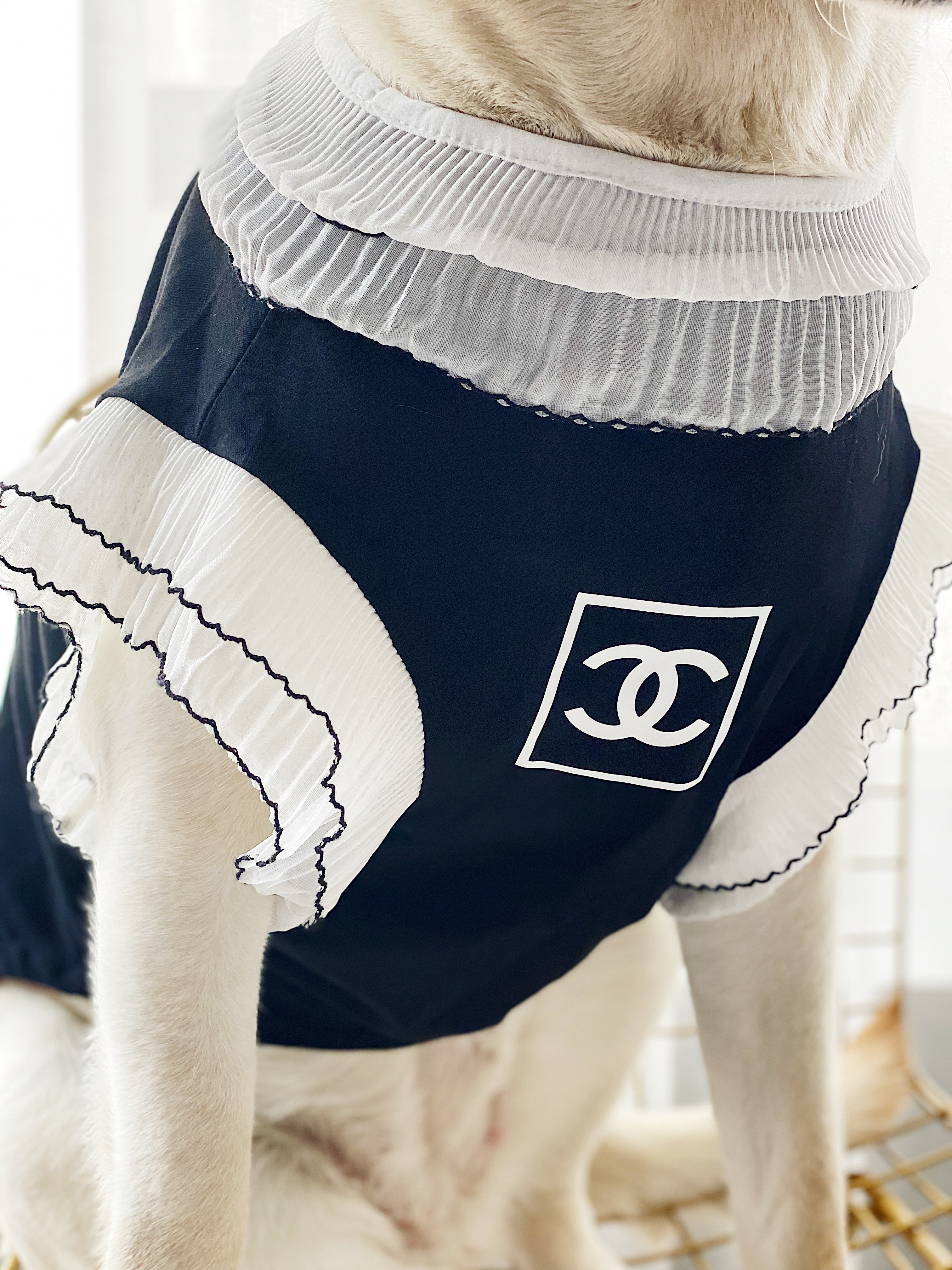 Vêtements Grands Chiens Chanel | 2025