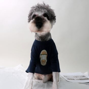 T-shirt pour chien Gucci | 2024