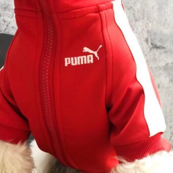 Veste pour chien Puma | 2024