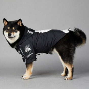 Sweat à capuche pour chien The North Face | 2024