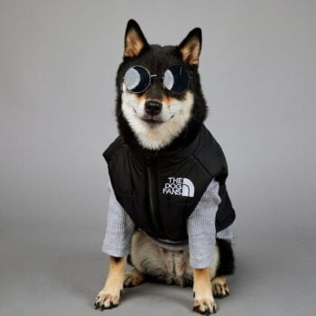 Manteau de luxe THE DOG FANS - 2025 - Doglovedesign : Vêtement et accessoires pour chiens
