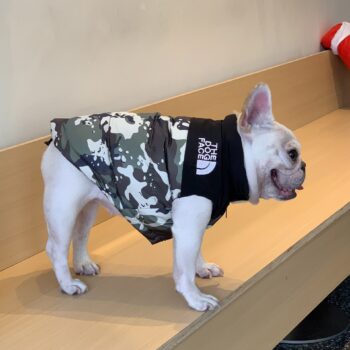 Veste pour chien The North Face | 2024