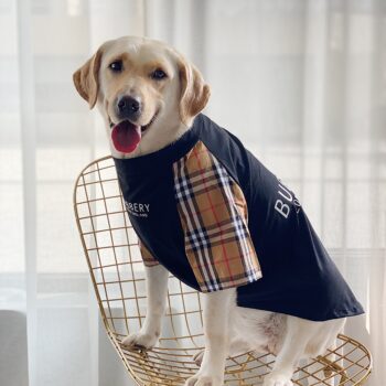 Vêtements Grands Chiens Burberry | 2024