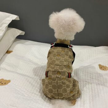 Salopette de luxe Gucci pour chien | Bouledogue français, Chihuahua | 2024