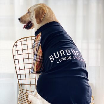 Vêtements Grands Chiens Burberry | 2024