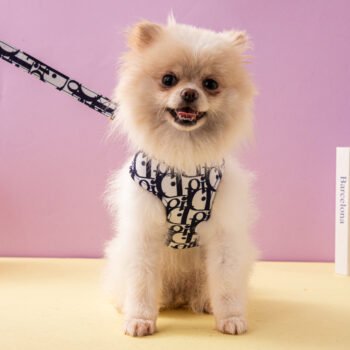 Harnais et laisse Dior pour chien chic | 2025