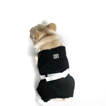 Combinaison Chanel pour chien | Tenue chic et confortable | 2024