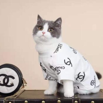 T-shirt pour chien Chanel | 2024