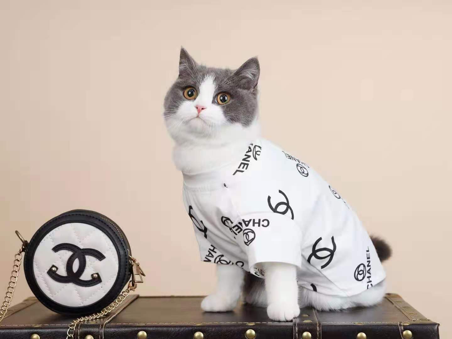 T-shirt pour chien Chanel | 2024