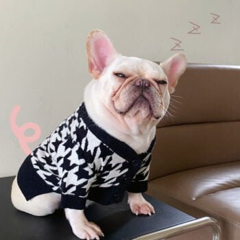 Pull pour chien Dior - 2025 - Doglovedesign : Vêtement et accessoires pour chiens