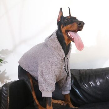 Vêtements Grands Chiens | 2025