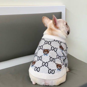 Pull pour chien Gucci | 2024