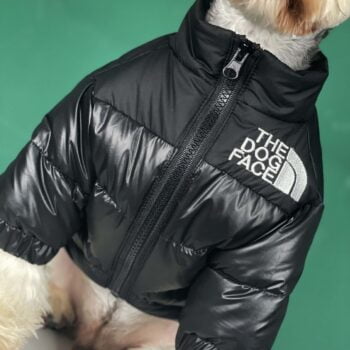 Veste pour chien The North Face | 2024