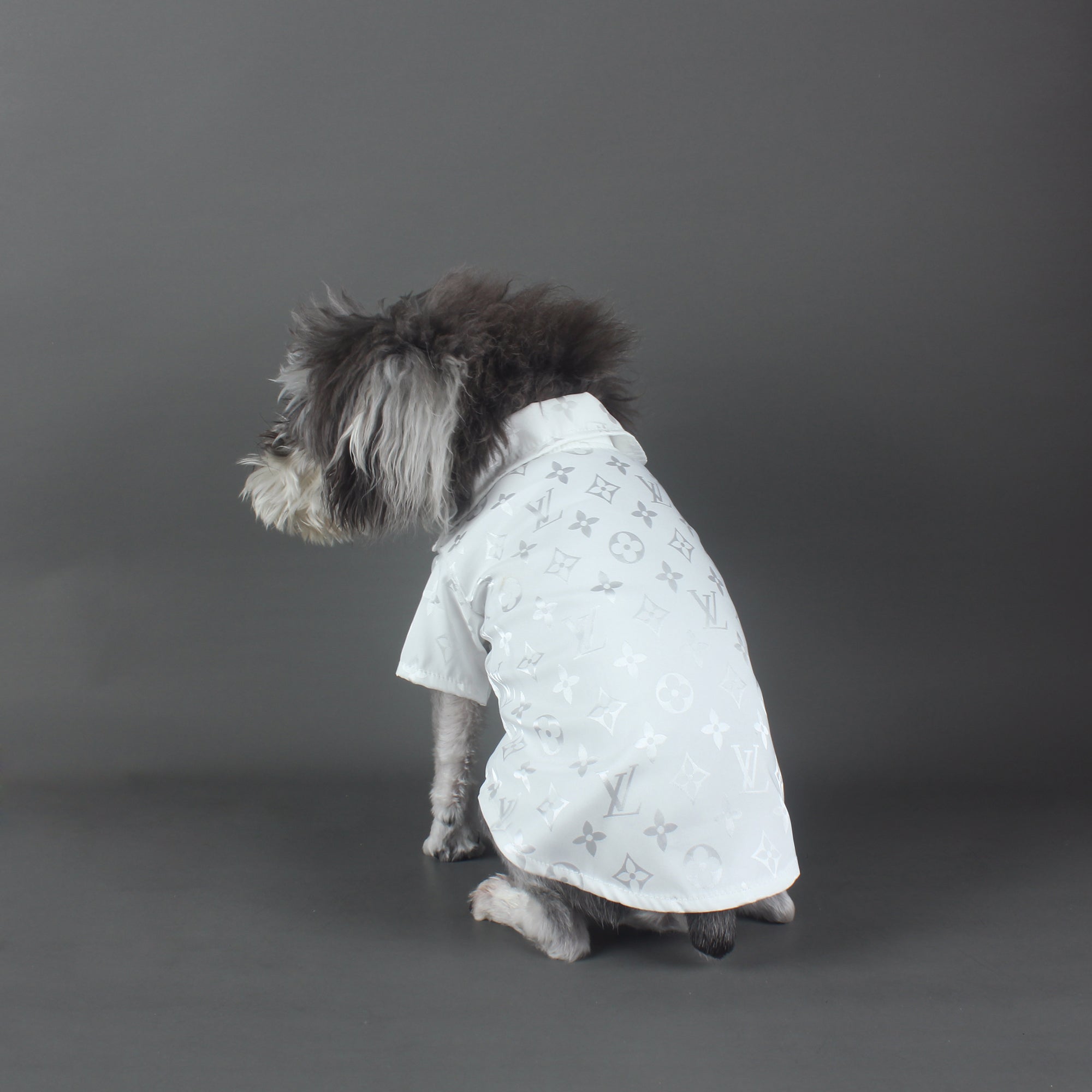 Chemise pour chien Louis Pawtton | 2024