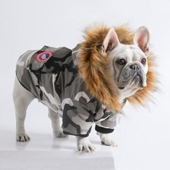 Veste pour chien Canada Goose | 2024