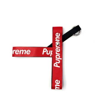 Accessoires de Luxe pour Chiens : Laisse et Harnais Rouge Supreme - 2025 - Doglovedesign : Vêtement et accessoires pour chiens Accessoires de Luxe pour Chiens : Laisse et Harnais Rouge Supreme - 2025 - Doglovedesign : Vêtement et accessoires pour chiens