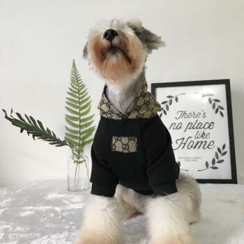 Sweat à capuche pour chien Gucci | 2025