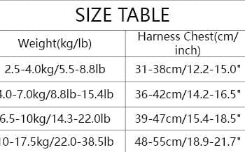 Accessoires de Luxe pour Chiens : Laisse et Harnais Chanel - 2025 - Vêtement et accessoires pour chiens - Doglovedesign