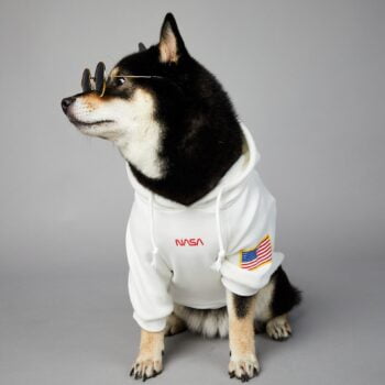 Sweat à capuche pour chien Nasa | 2024