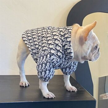 Veste pour chien Dior | 2024