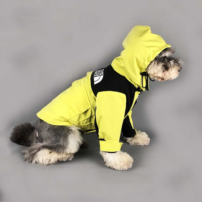 Veste pour chien The North Face | 2023