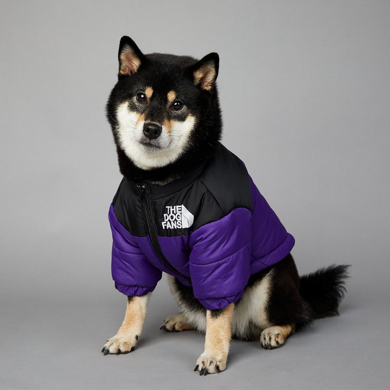 Veste pour chien The North Face | 2024