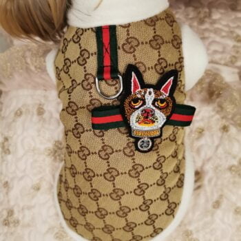 Veste pour chien Gucci | 2024