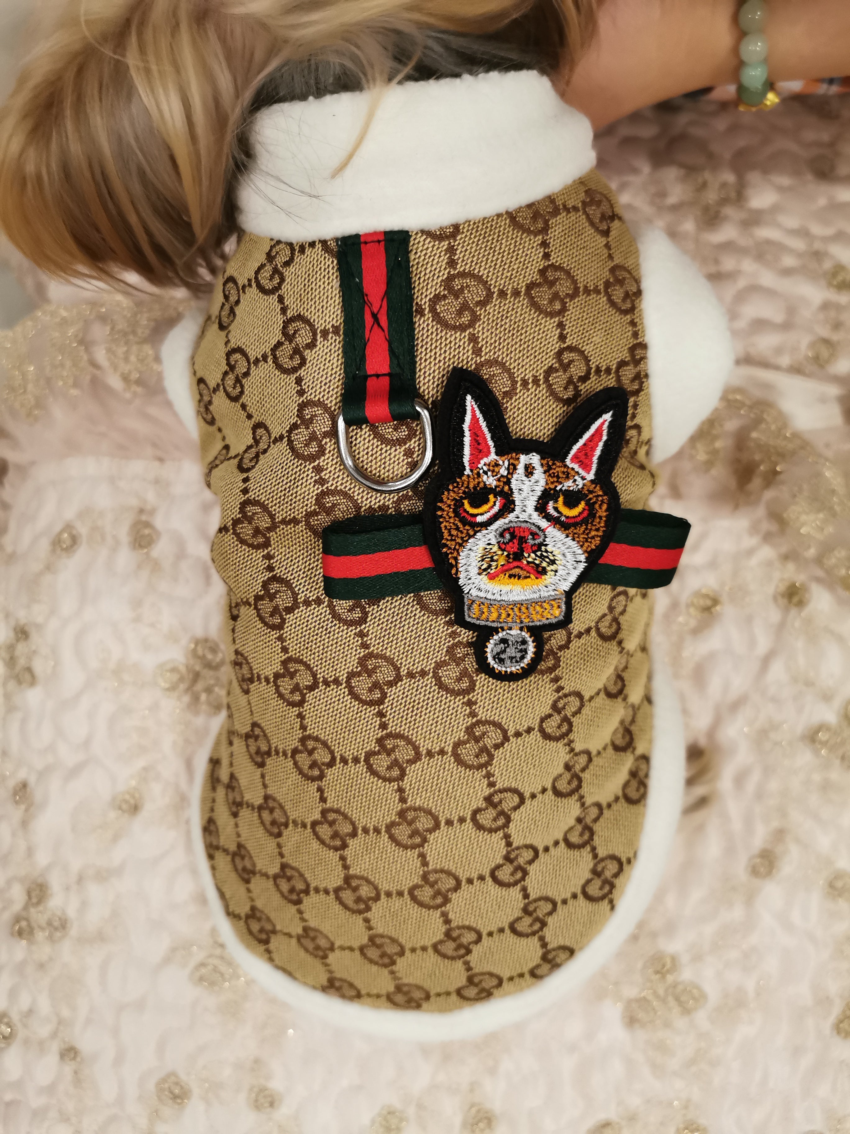 Veste pour chien Gucci | 2024