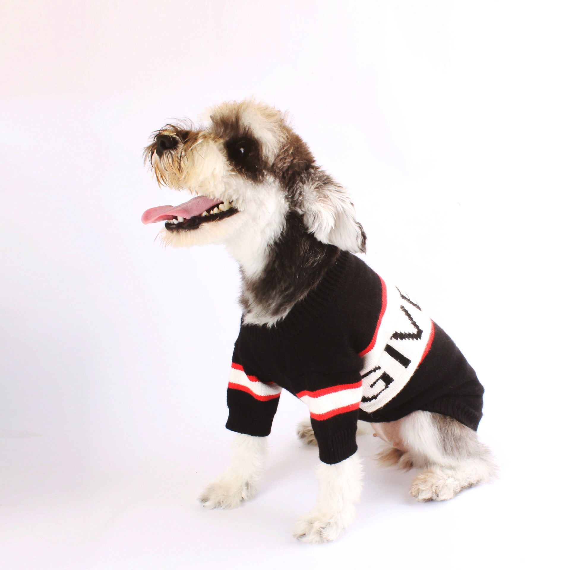 Pull pour chien Givenchy | 2024