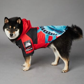 Sweat à capuche pour chien The North Face - 2025 - Vêtement et accessoires pour chiens - Doglovedesign