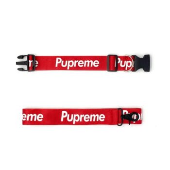 Accessoires de Luxe pour Chiens : Laisse et Collier Supreme | 2024