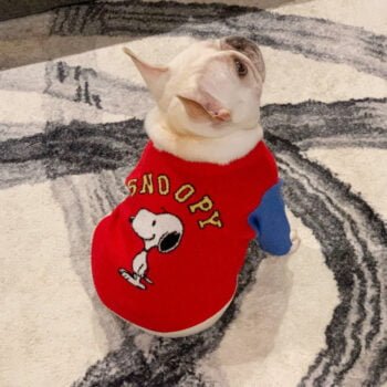 Pull pour chien SNOOPY | 2024