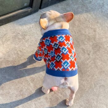 Pull pour chien Gucci | 2024