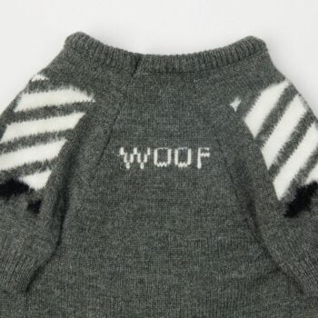 Pull pour chien WOOF | 2024