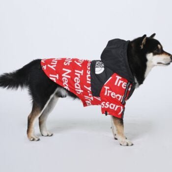 Veste pour chien The North Face - 2025 - Vêtement et accessoires pour chiens - Doglovedesign